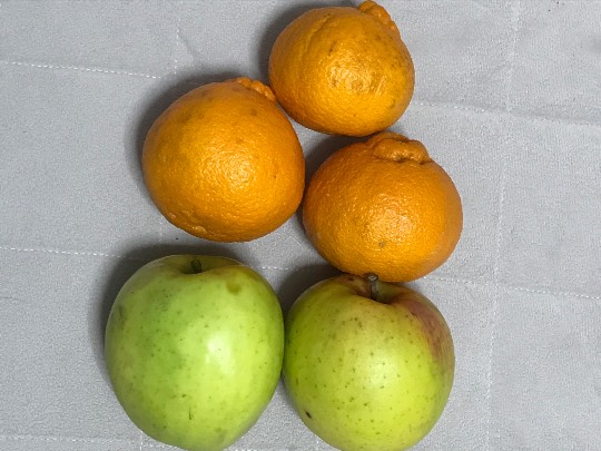 マスク同窓会詰所兼ニューフェイス歓迎所35(思いやり)