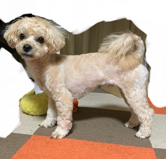 生き物ルーム第53