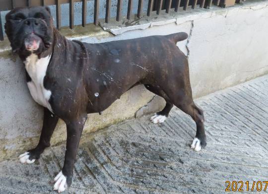 生き物ルーム第53