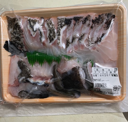 生き物ルーム第53