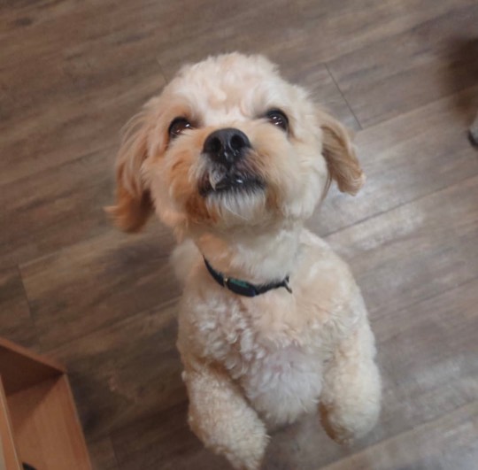 生き物ルーム第53