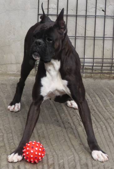 生き物ルーム第53