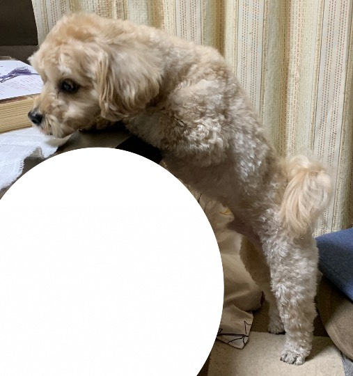 生き物ルーム第53