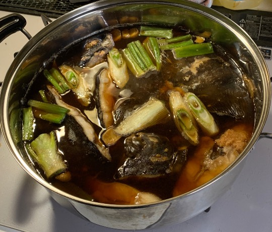 生き物ルーム第53