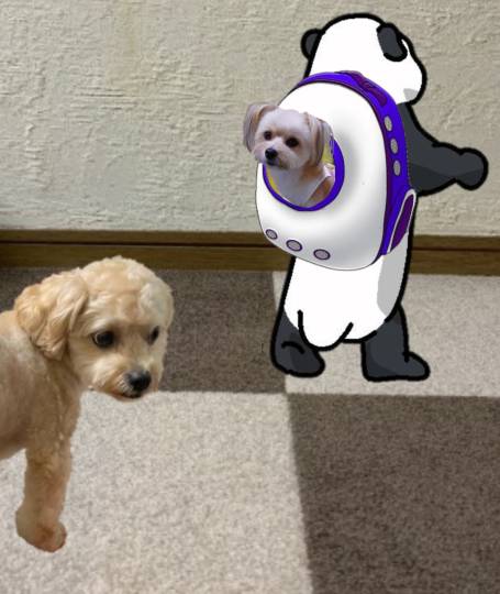 生き物ルーム第54