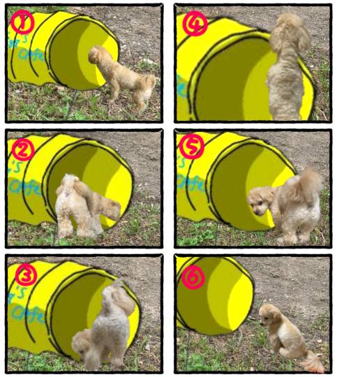 生き物ルーム第54