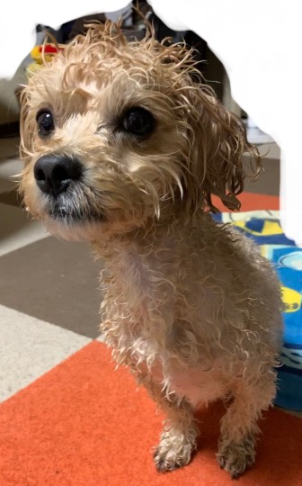 生き物ルーム第53