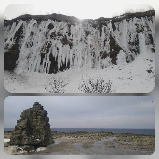 マスク同窓会詰所兼ニューフェイス歓迎所35(思いやり)