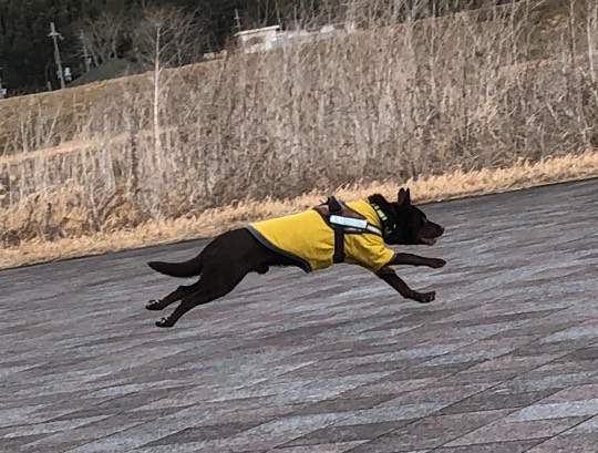 生き物ルーム第53