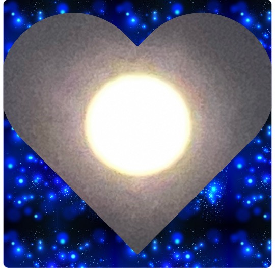 ★ドンキ♡♡ロピア 雑談57★