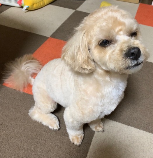 生き物ルーム第53