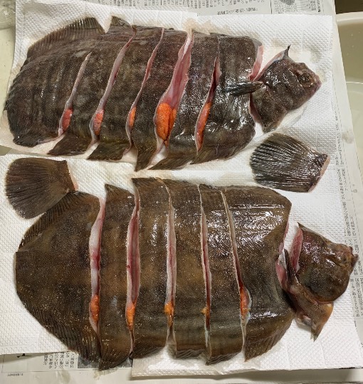 生き物ルーム第53