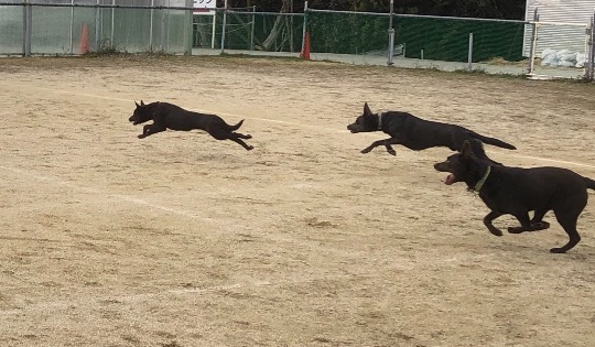 生き物ルーム第54