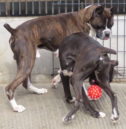 生き物ルーム第53