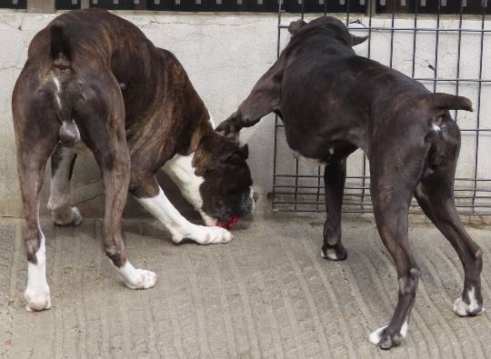 生き物ルーム第53