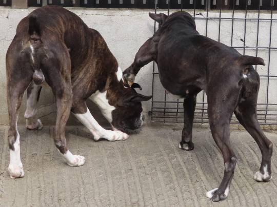 生き物ルーム第53