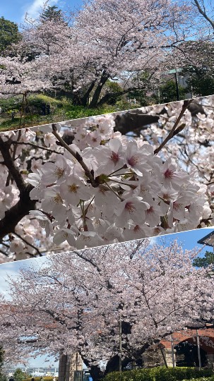 ◆14◆関西版 雑談   ついでに、なぜか生協トピ✨