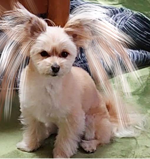 生き物ルーム第54