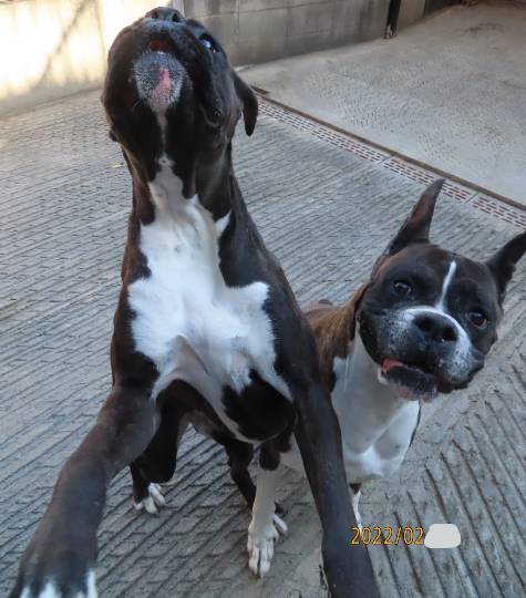 生き物ルーム第54