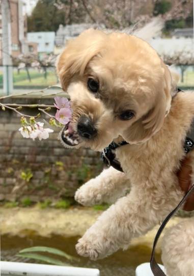 生き物ルーム第54