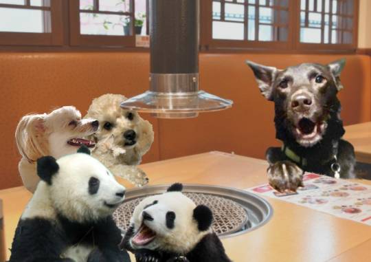 生き物ルーム第54