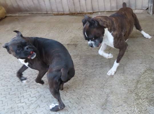 生き物ルーム第54