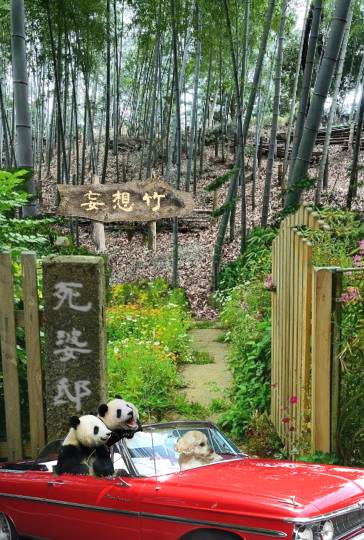 生き物ルーム第54