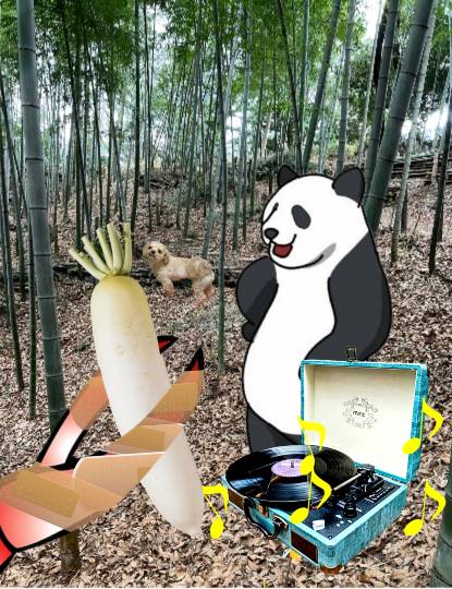 生き物ルーム第55