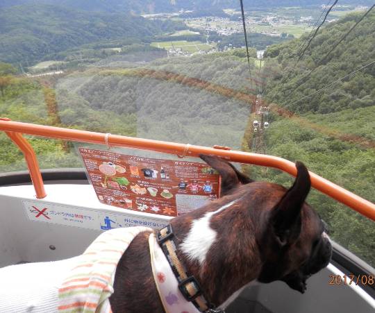 生き物ルーム第54