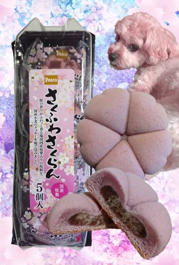 生き物ルーム第55