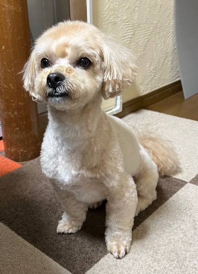 生き物ルーム第55