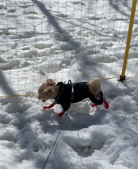 生き物ルーム第54