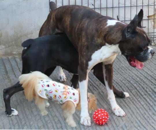 生き物ルーム第54