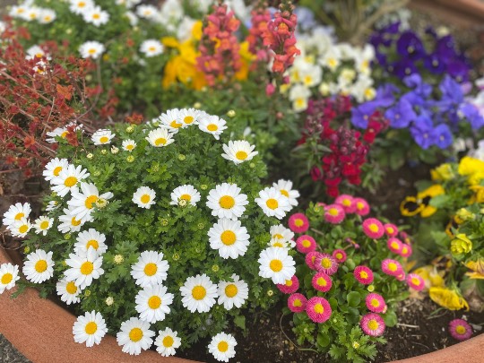 生き物ルーム第55