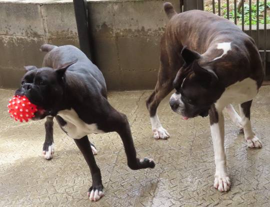 生き物ルーム第54