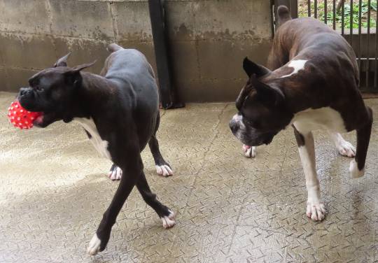 生き物ルーム第54