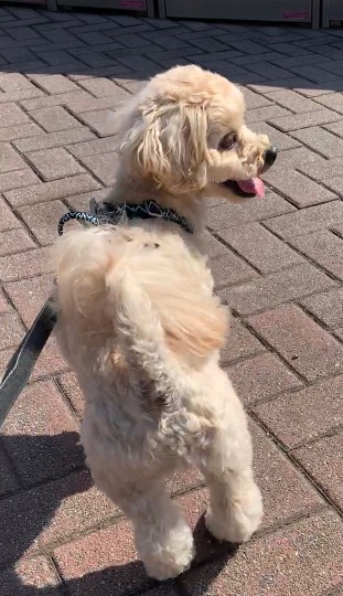 生き物ルーム第54