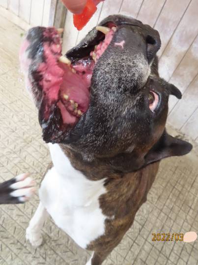 生き物ルーム第54