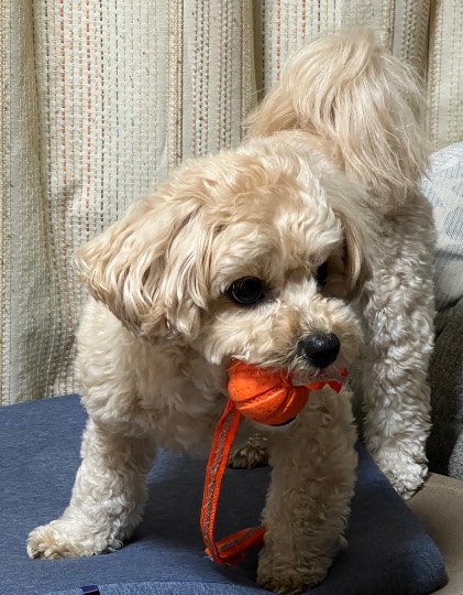 生き物ルーム第54