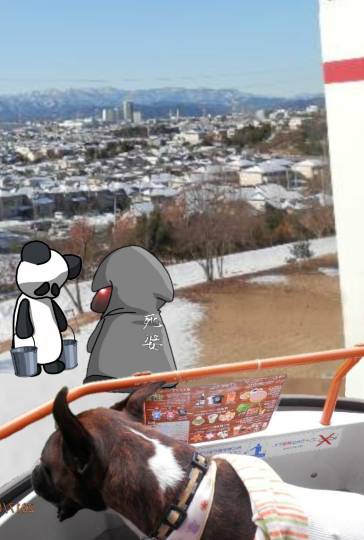 生き物ルーム第54