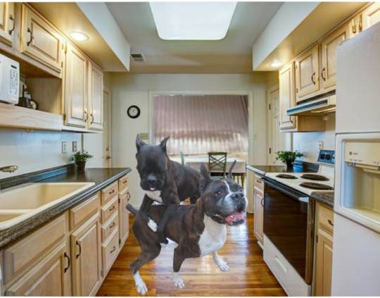 生き物ルーム第54