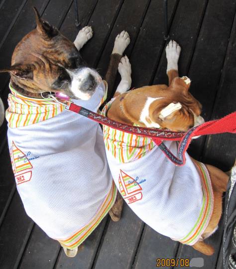 生き物ルーム第54