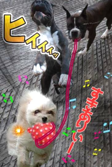 生き物ルーム第54