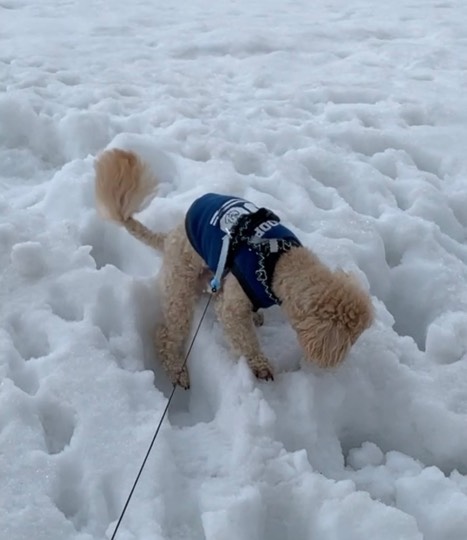 生き物ルーム第54