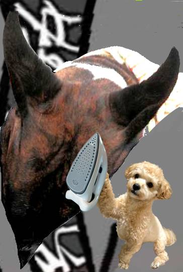 生き物ルーム第54