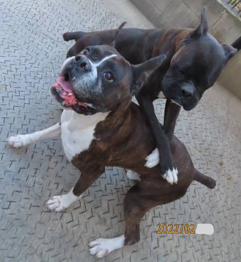 生き物ルーム第54