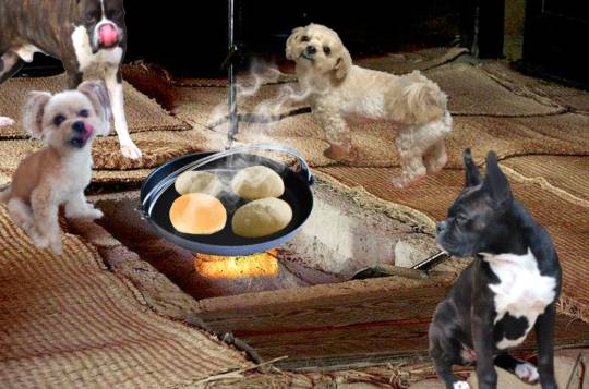 生き物ルーム第54