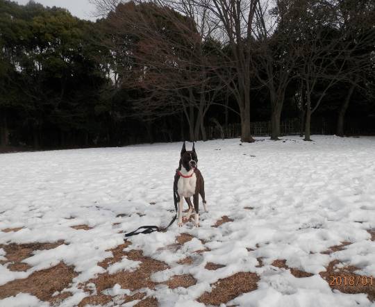 生き物ルーム第54