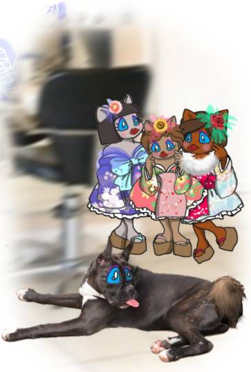 生き物ルーム第54