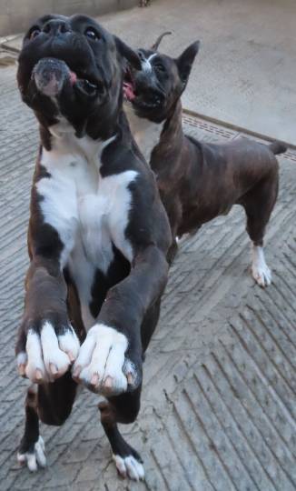 生き物ルーム第54